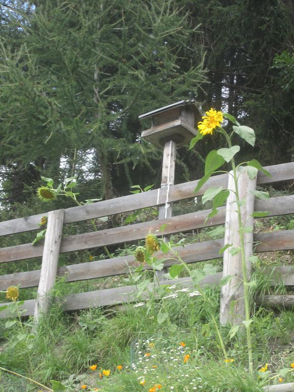 Ferienhaus Fichtenheim Prägraten Екстериор снимка